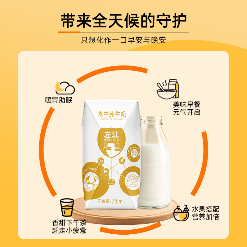 左江水牛奶纯牛奶210ml*10盒/箱